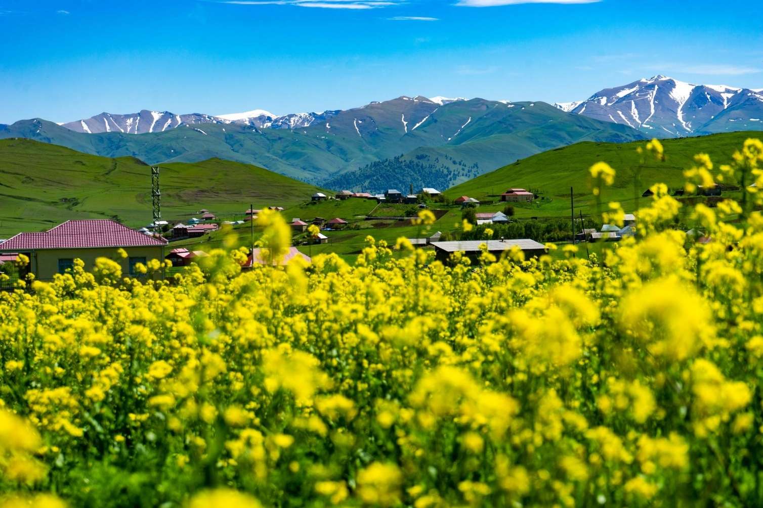 39 dərəcə isti - Faktiki hava açıqlandı  