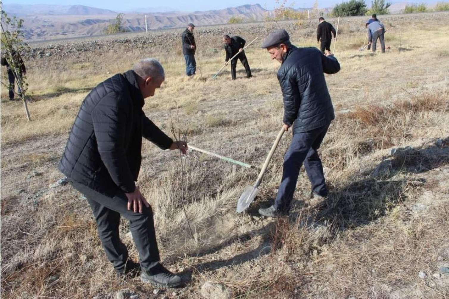 Ordubadda növbəti yaşıllıq aksiyası - FOTO 