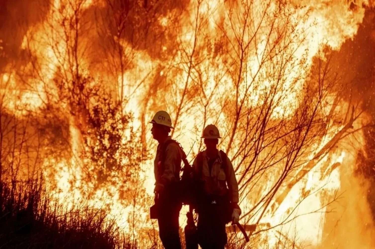 Kaliforniyadakı yanğınlar ölkəyə 150 milyard ziyan vurub - FOTO 