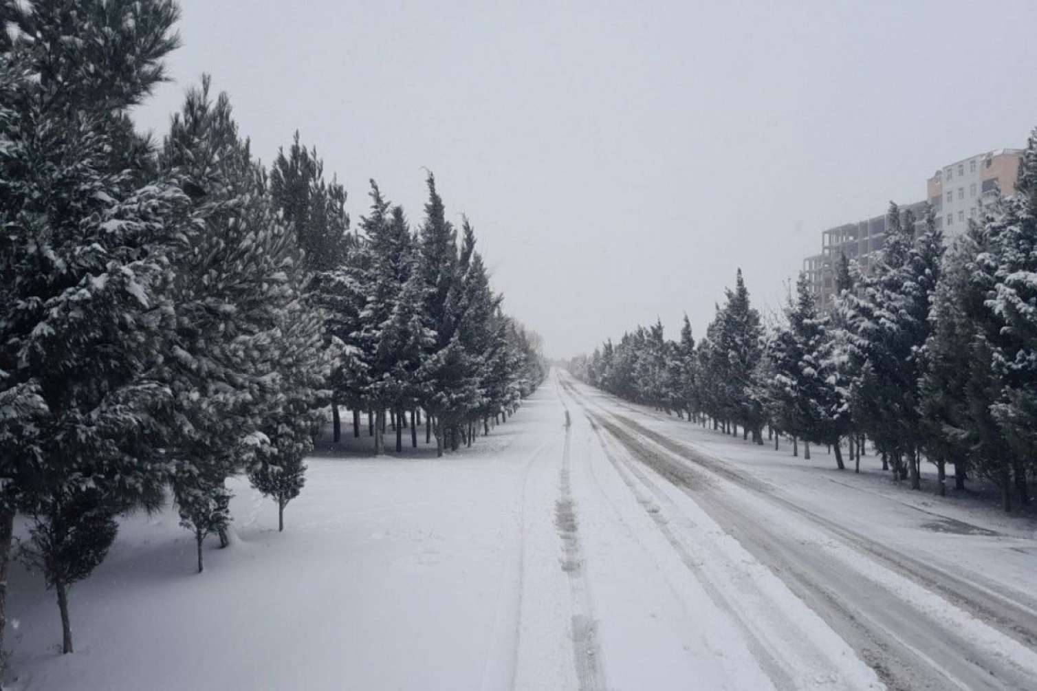 Yollar buz bağlayacaq , Bakıda 5-8 dərəcə şaxta olacaq - XƏBƏRDARLIQ 