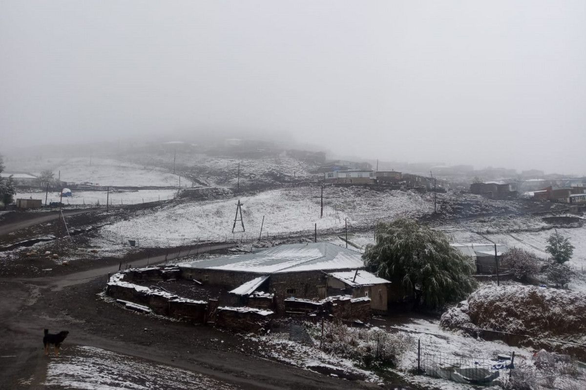 Bu kəndlərə qar yağdı -  FOTO