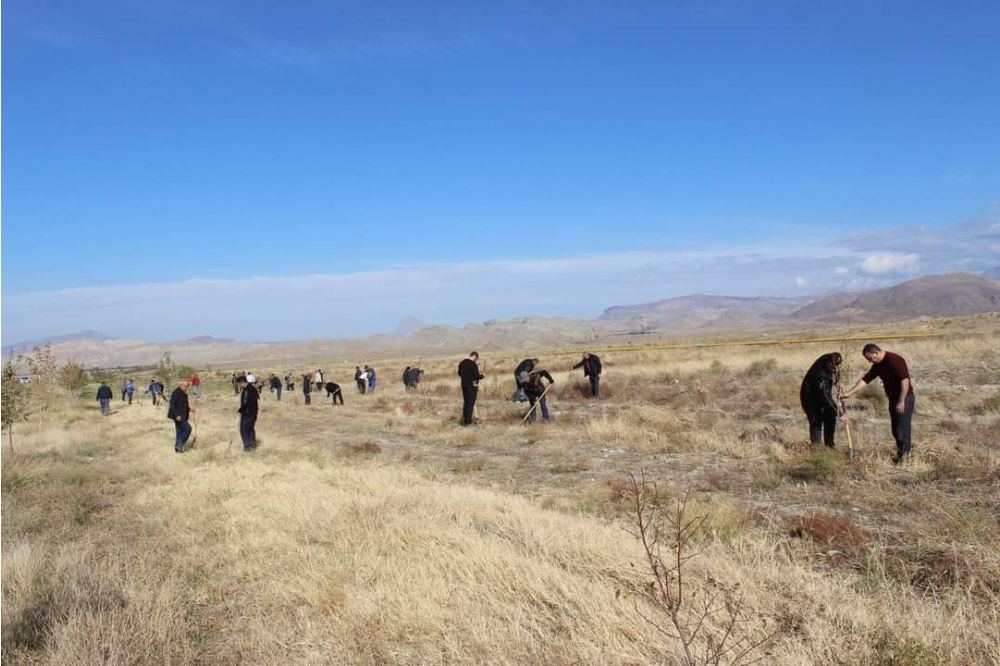 Ordubadda növbəti yaşıllıq aksiyası - FOTO 