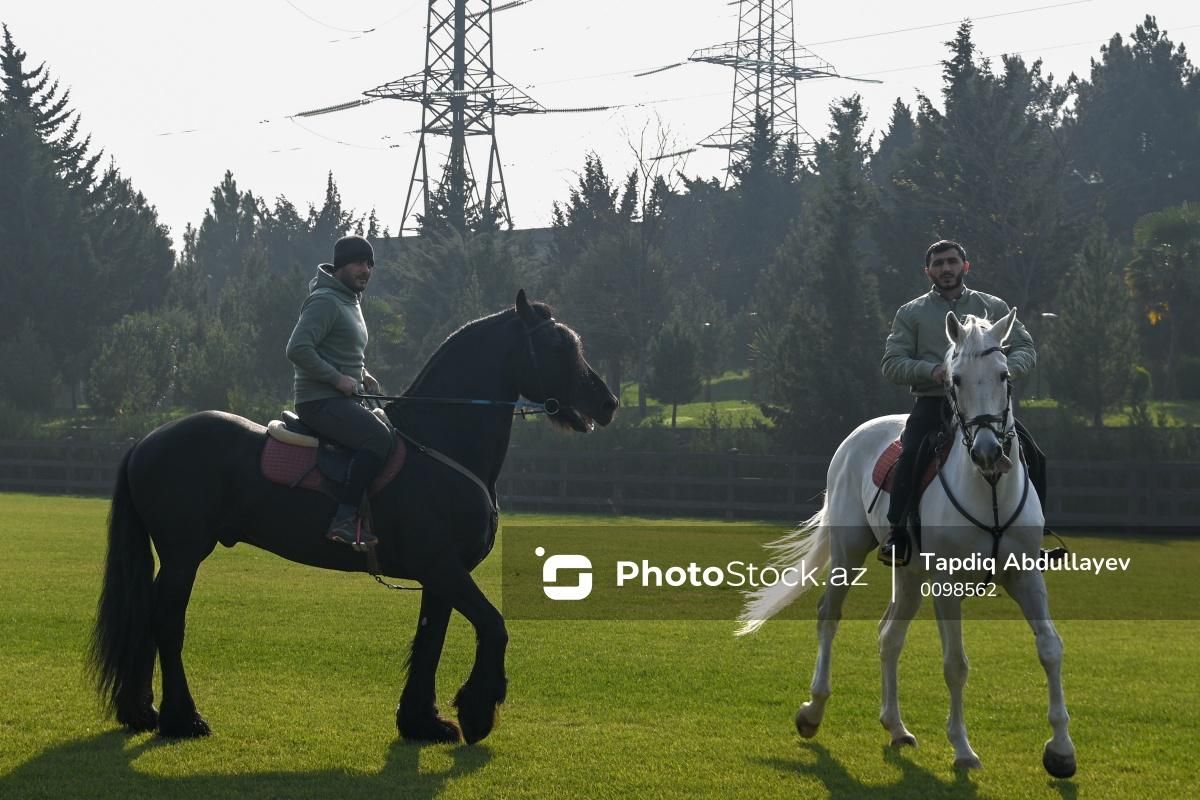 Messi Bakıda Qarabağ atlarını izlədi - Video - Fotolar 